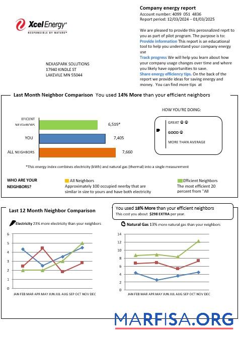 Blank USA Minnesota Xcel Energy business utility bill template in Word and PDF formats
